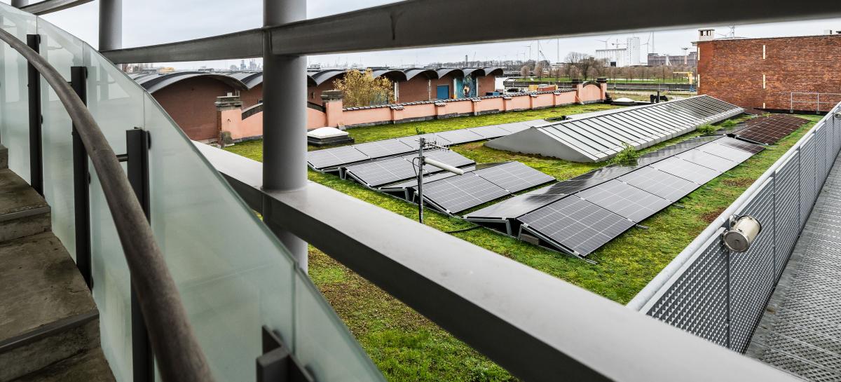 Foto van het groendak met zonnepanelen
