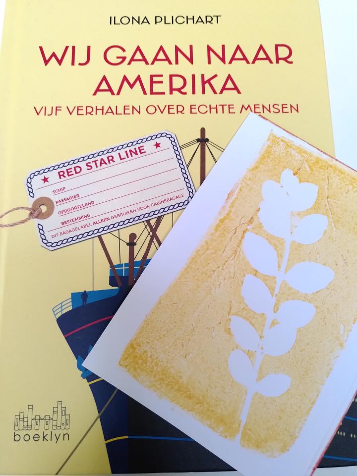 Boekcover 'Wij gaan naar Amerika'
