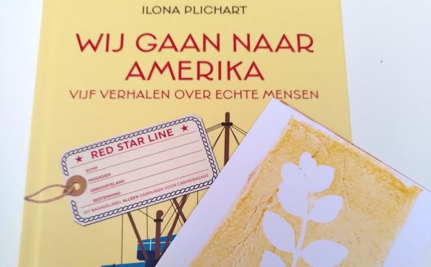 Boekcover 'Wij gaan naar Amerika'
