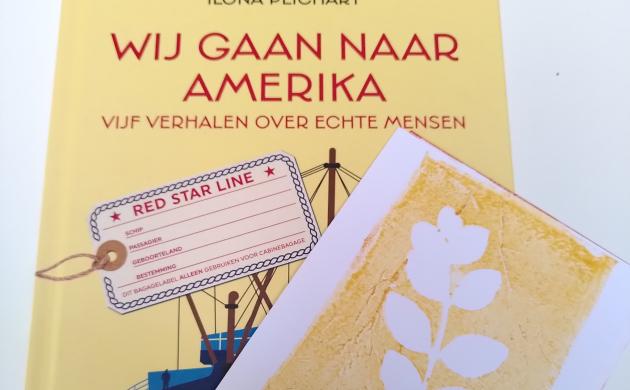 Boekcover 'Wij gaan naar Amerika'